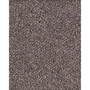 Style Etiquette Textured SmartStrand Carpet