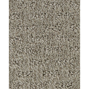 Stylish Attraction Patterned EverStrand Carpet