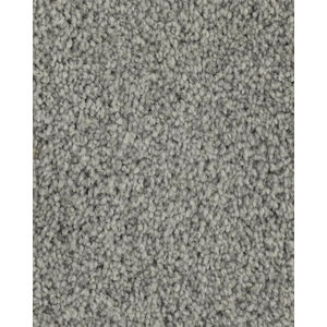 Superior Selection Textured SmartStrand Carpet