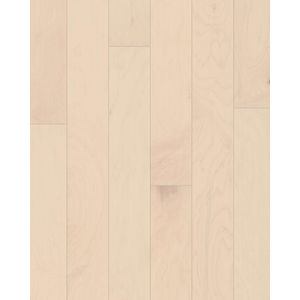 Eclectic Maple Americana 5