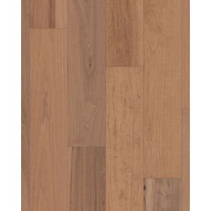 Exploration Hickory Dune 6