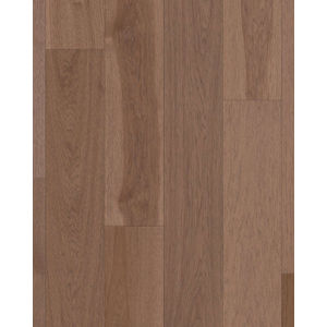 Exploration Hickory Inlet 6