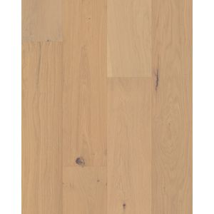 Ensemble Champagne 7.5