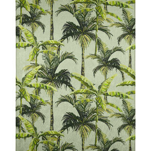 Tropics TC10 Aloe Area Rug