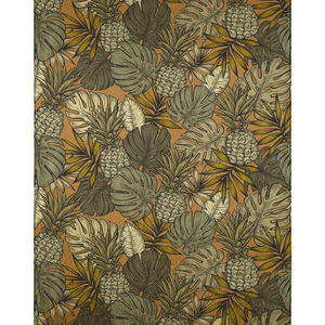 Tropics TC11 Clay Area Rug