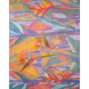Tropics TC14 Passion Area Rug
