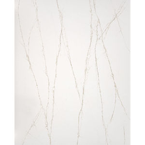 Tempo Valore Quartz Countertop