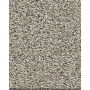 Tonal Comfort I Textured 43oz Nylon Carpet