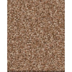 Tonal Comfort II Textured 53oz Nylon Carpet