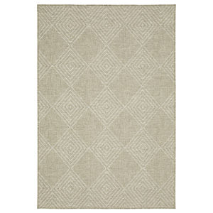 Tortuga tr05a Beige/Beige Area Rug