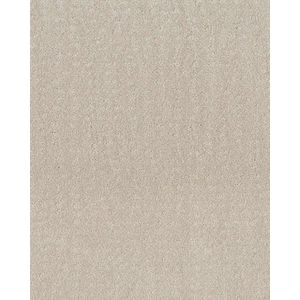 Trendy Nylon 34oz Carpet