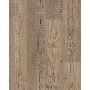 Anvil Plus 20 Mil Accent Pine Luxury Vinyl