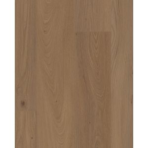 COREtec Pro Plus XL Enhanced San Marino Elm Luxury Vinyl