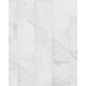 COREtec Tile 12