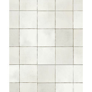 Wander Bianco Porcelain Tile