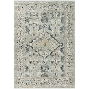 Washable Decor WSD12 Blue Taupe Area Rug