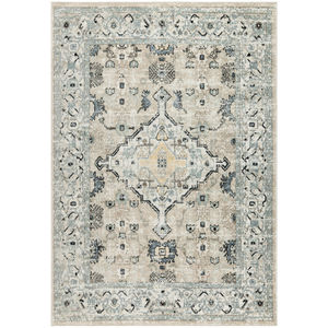 Washable Decor WSD12 Taupe Blue Area Rug