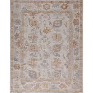 Wendover 6847F Ivory/Tan Area Rug