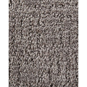 Wonder Weave Truffle Everstrand Carpet
