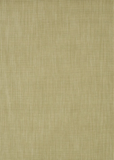 Monaco Sisal MC100 Aloe Area Rug