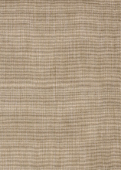 Monaco Sisal MC100 Taupe Area Rug