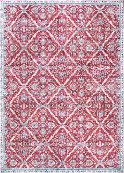Pasha Arcadia Garnet Area Rug
