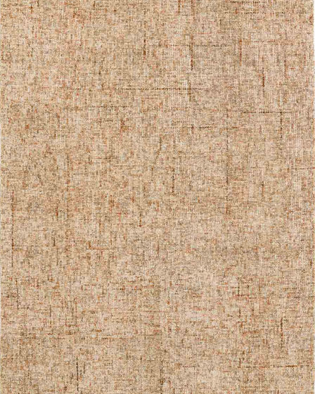 Calisa CS5 Desert Area Rug