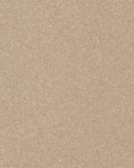 Quality Life Textured SmartStrand 55oz Carpet