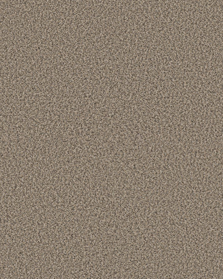 Artistic Fusion I Pet Friendly 43oz Carpet