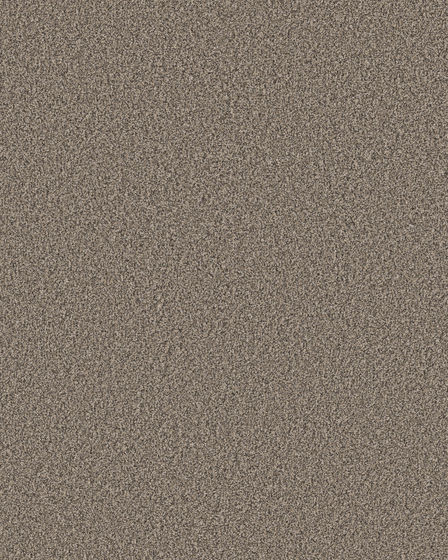 Artistic Fusion II Pet Friendly Carpet