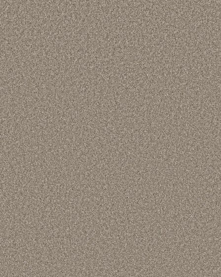 Monumental II 53oz Pet Friendly Textured Carpet