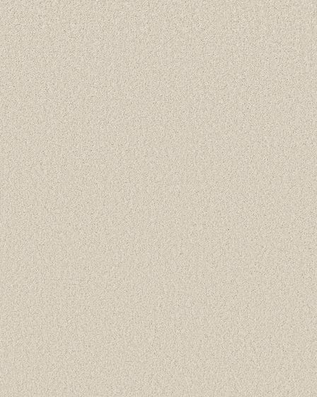 Sincere Beauty II 68oz Pet Friendly Textured Carpet