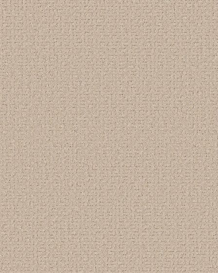 Peaceful Journey 48oz Pet Friendly Patterned Carpet