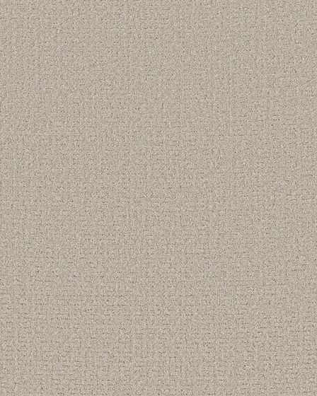 Peaceful Journey Beige Mist 48oz Pet Friendly Patterned Carpet
