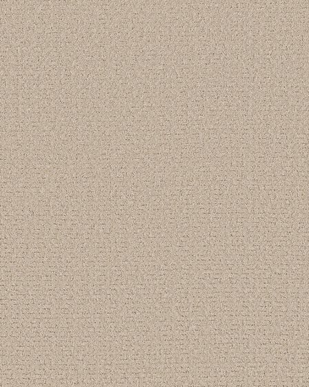 Peaceful Journey Cafe Latte 48oz Pet Friendly Patterned Carpet