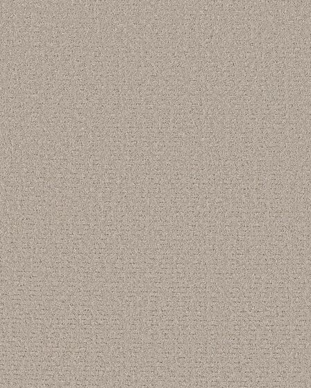 Peaceful Journey Chic Taupe 48oz Pet Friendly Patterned Carpet