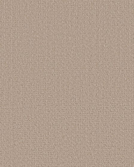 Peaceful Journey Baja 48oz Pet Friendly Patterned Carpet
