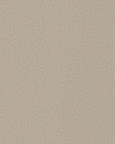 Pawsitive T Beige Mist Pet Friendly Textured 40oz Carpet
