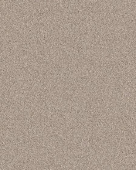 Pawsitive T Chic Taupe Pet Friendly Textured 40oz Carpet
