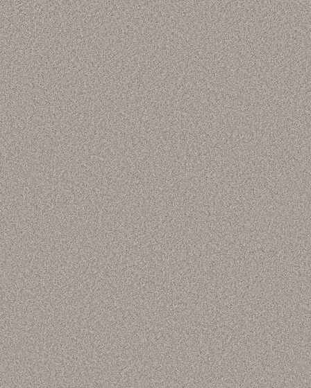 Pawsitive T Four Winds Pet Friendly Textured 40oz Carpet