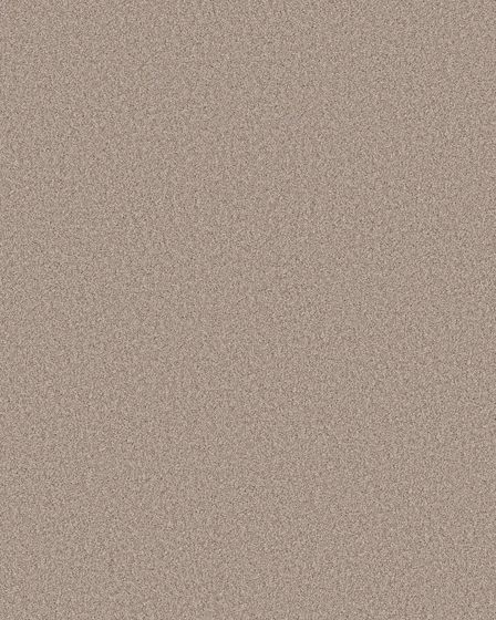 Pawsitive T Baja Pet Friendly Textured 40oz Carpet
