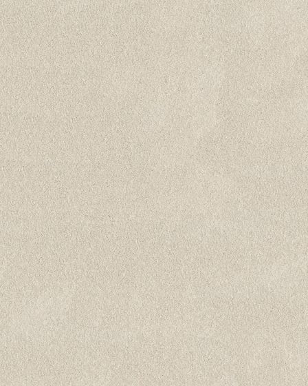 Pawsitive S Pet Friendly Textured 40oz Carpet