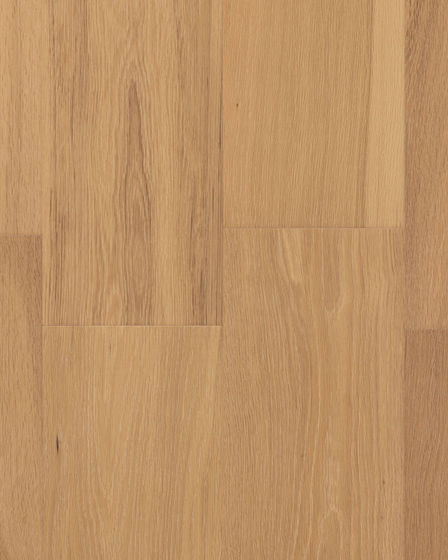 CALI Cellar Vinter Gold 7" White Oak Hardwood