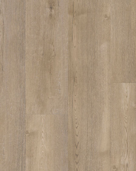 Cali Laguna Skimboard Shore Vinyl Plank
