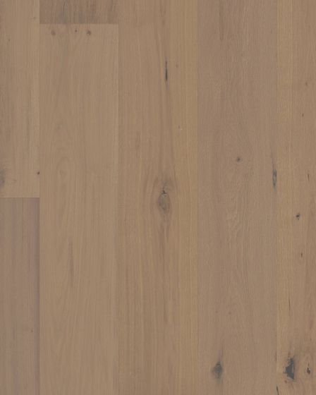 Chateau Oak Parlor 8" Hardwood