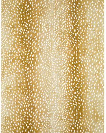 Akina AK3 Gold Area Rug