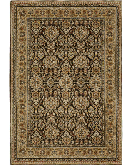 Andorra 2431a Brown/Gold Area Rug