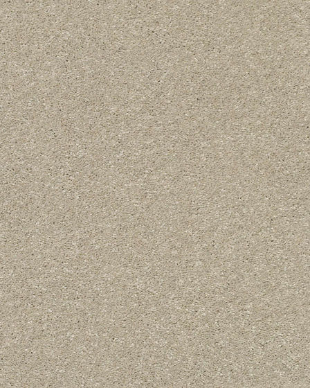 Basic Rules 58oz Textured Pet Friendly Carpet