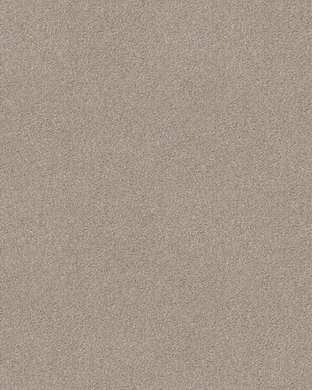 Bountiful Beauty Textured Nylon 43oz Carpet