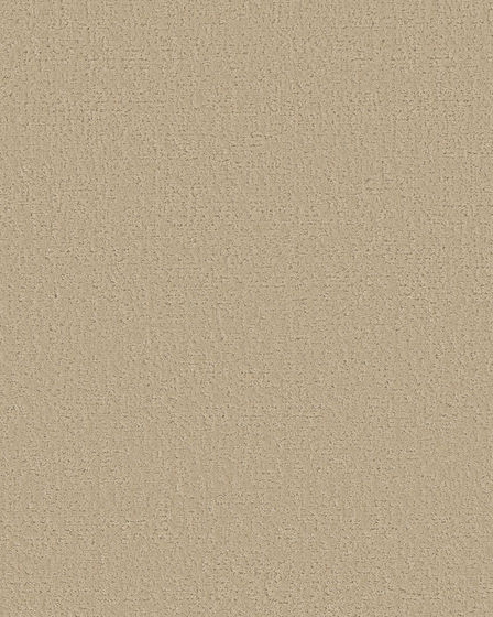 Canvas Comfort Textured Nylon 43oz Carpet